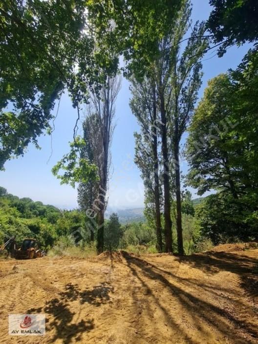Ay Emlak'tan Deniz Manzaralı Yolu & Suyu Olan 6.320 M² Zeytinlik — fotoğraf 3