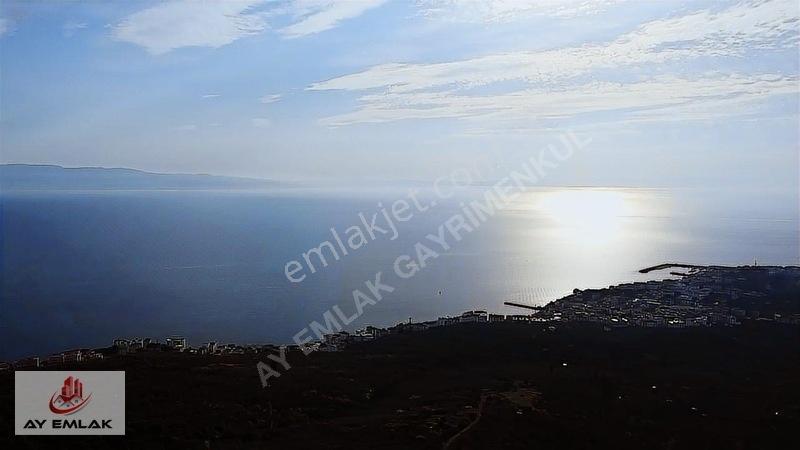 Ay Emlak'tan Deniz Manzaralı Yolu & Suyu Olan 6.320 M² Zeytinlik — fotoğraf 16