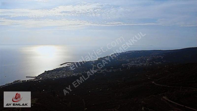 Ay Emlak'tan Deniz Manzaralı Yolu & Suyu Olan 6.320 M² Zeytinlik — fotoğraf 17