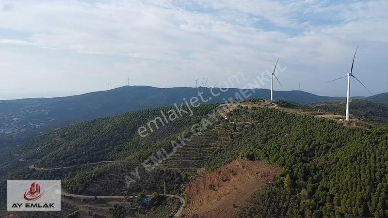 Ay Emlak'tan Deniz Manzaralı Yolu & Suyu Olan 6.320 M² Zeytinlik — fotoğraf 18