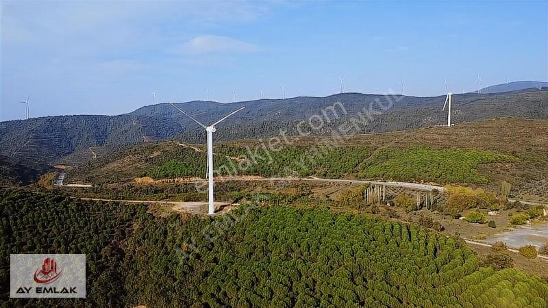 Ay Emlak'tan Deniz Manzaralı Yolu & Suyu Olan 6.320 M² Zeytinlik — fotoğraf 19