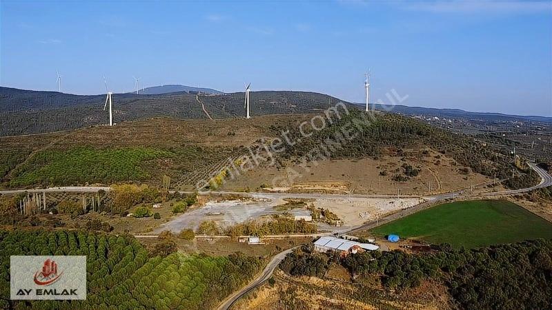 Ay Emlak'tan Deniz Manzaralı Yolu & Suyu Olan 6.320 M² Zeytinlik — fotoğraf 20
