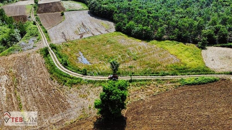 Kocaeli Kandıra Seyitaliler — fotoğraf 2