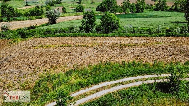 Kocaeli Kandıra Seyitaliler — fotoğraf 4