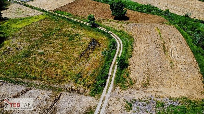 Kocaeli Kandıra Seyitaliler — fotoğraf 6