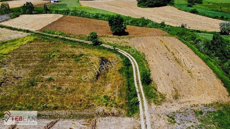 Kocaeli Kandıra Seyitaliler — fotoğraf 7