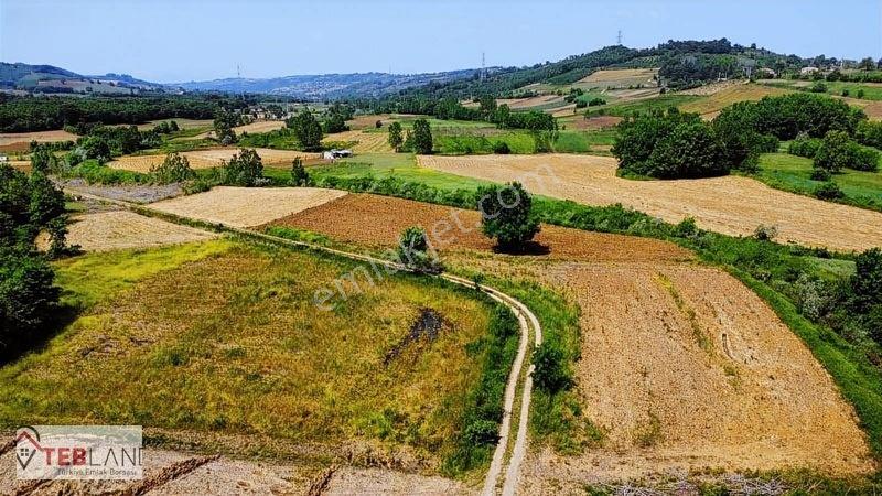 Kocaeli Kandıra Seyitaliler — fotoğraf 8