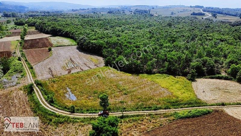 Kocaeli Kandıra Seyitaliler — fotoğraf 9