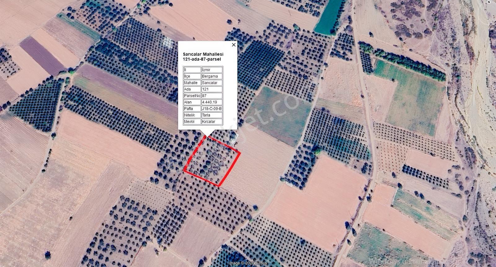 Yüksek Verimli 4,5 Dekar Zeytinlik — fotoğraf 2