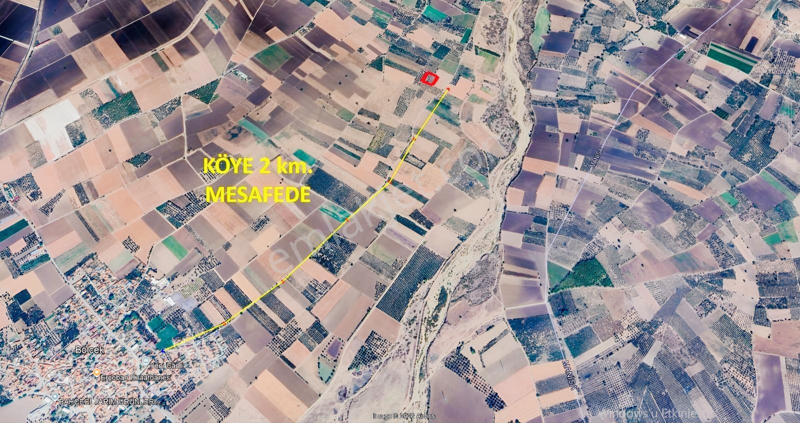 Yüksek Verimli 4,5 Dekar Zeytinlik — fotoğraf 3