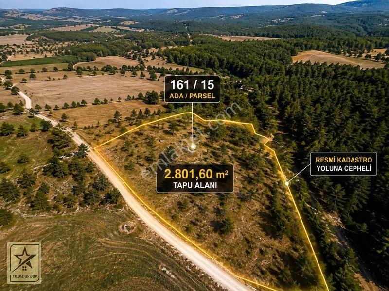 Aslanapa Çamdibinde 2.801 M² | Ormanla İç İçe Yatırımlık Tarla