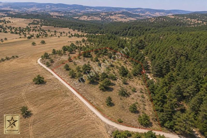 Aslanapa Çamdibinde 2.801 M² | Ormanla İç İçe Yatırımlık Tarla — fotoğraf 2