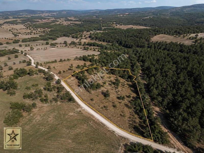 Aslanapa Çamdibinde 2.801 M² | Ormanla İç İçe Yatırımlık Tarla — fotoğraf 3