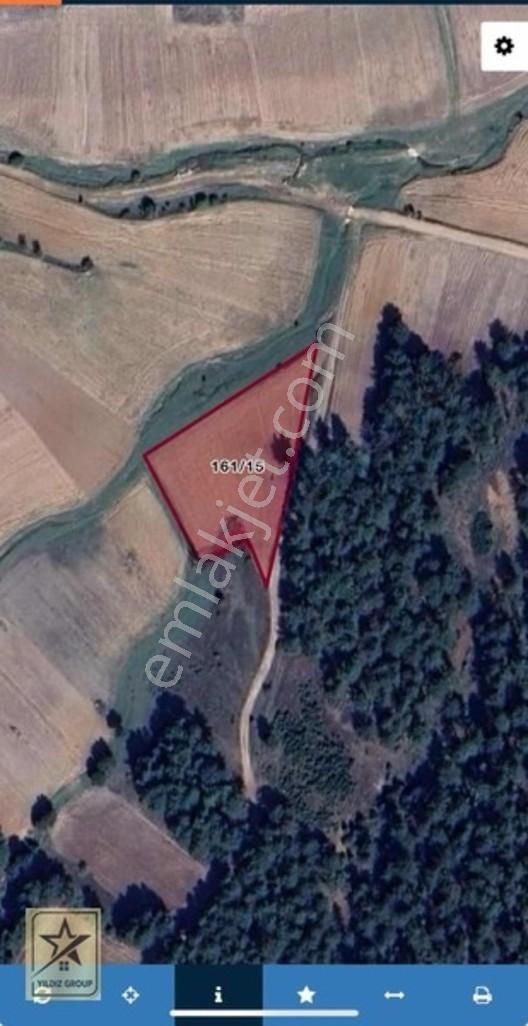 Aslanapa Çamdibinde 2.801 M² | Ormanla İç İçe Yatırımlık Tarla — fotoğraf 4