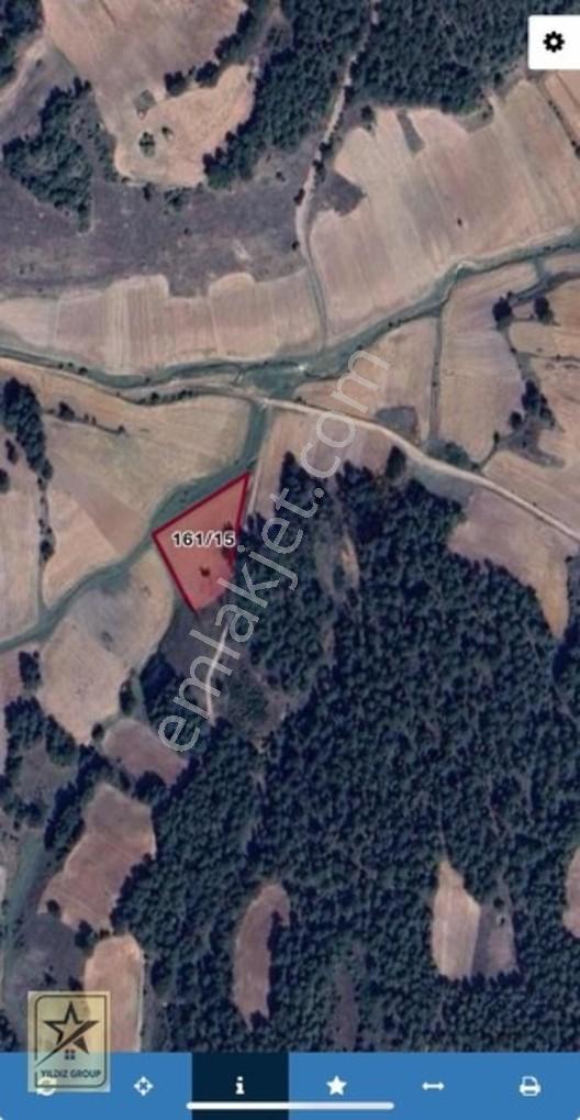 Aslanapa Çamdibinde 2.801 M² | Ormanla İç İçe Yatırımlık Tarla — fotoğraf 5
