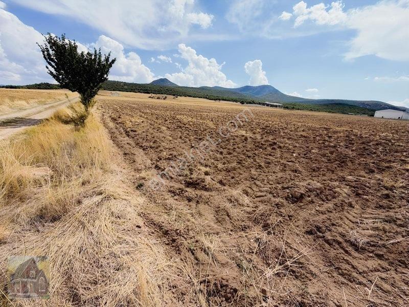 Gevreklide Satılık Bahçe Yapımına Uygun Tarla Köşe