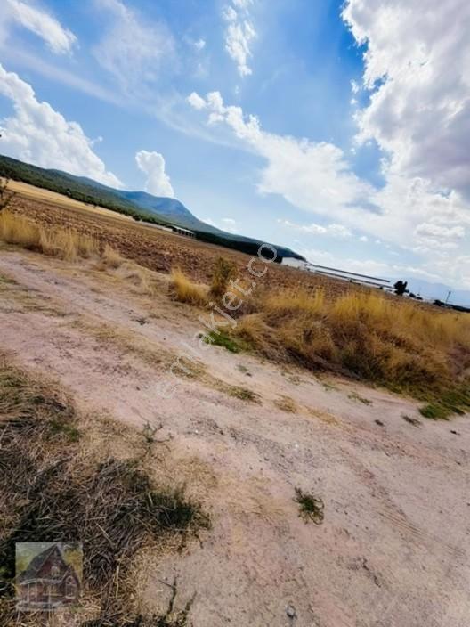 Gevreklide Satılık Bahçe Yapımına Uygun Tarla Köşe — fotoğraf 5
