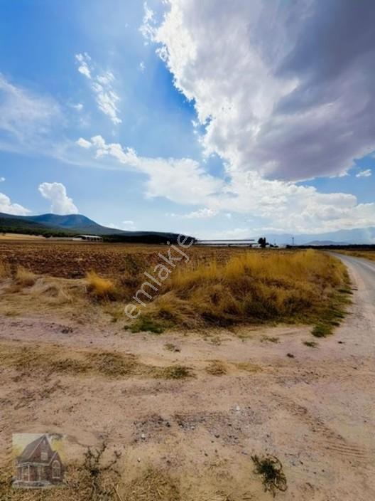 Gevreklide Satılık Bahçe Yapımına Uygun Tarla Köşe — fotoğraf 6