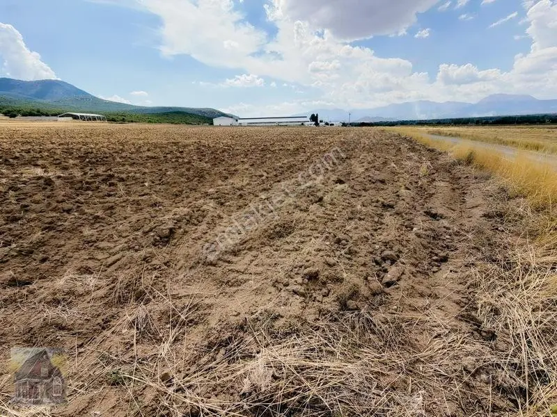 Gevreklide Satılık Bahçe Yapımına Uygun Tarla Köşe — fotoğraf 8