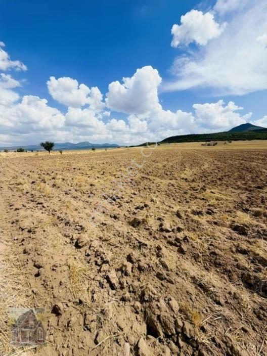Gevreklide Satılık Bahçe Yapımına Uygun Tarla Köşe — fotoğraf 9