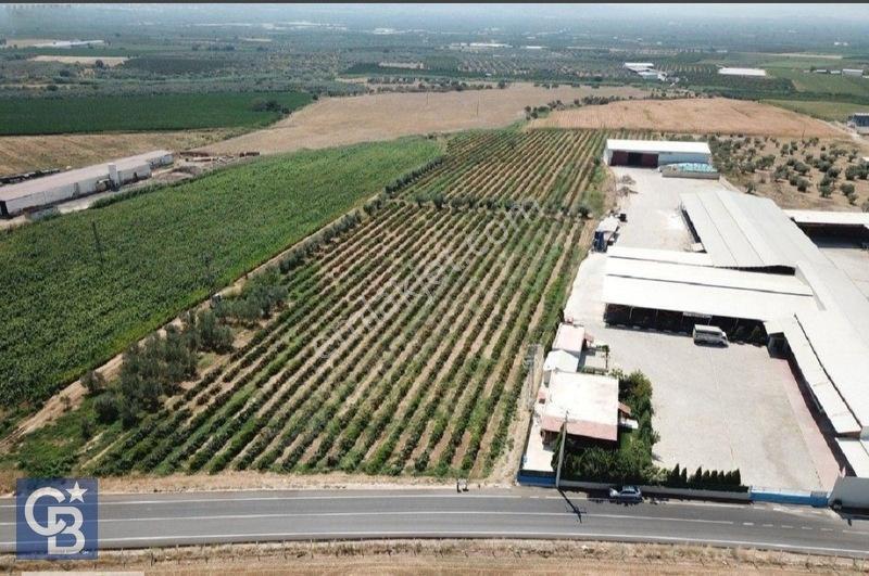 Kemalpaşa Halilbeylide Osb Ye 3 Km Mesafede 26.784M2 Tarla