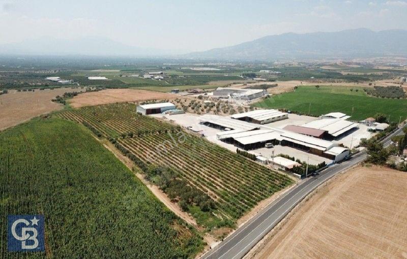 Kemalpaşa Halilbeylide Osb Ye 3 Km Mesafede 26.784m2 Tarla — fotoğraf 2