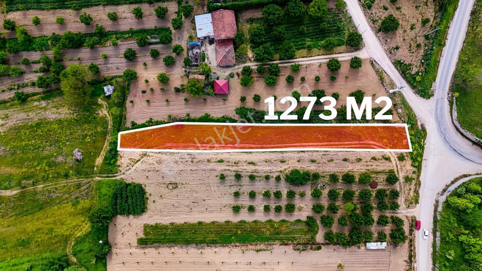 Göle 2.parsel Ana Yola Cepheli Fırsat Arazi — fotoğraf 2