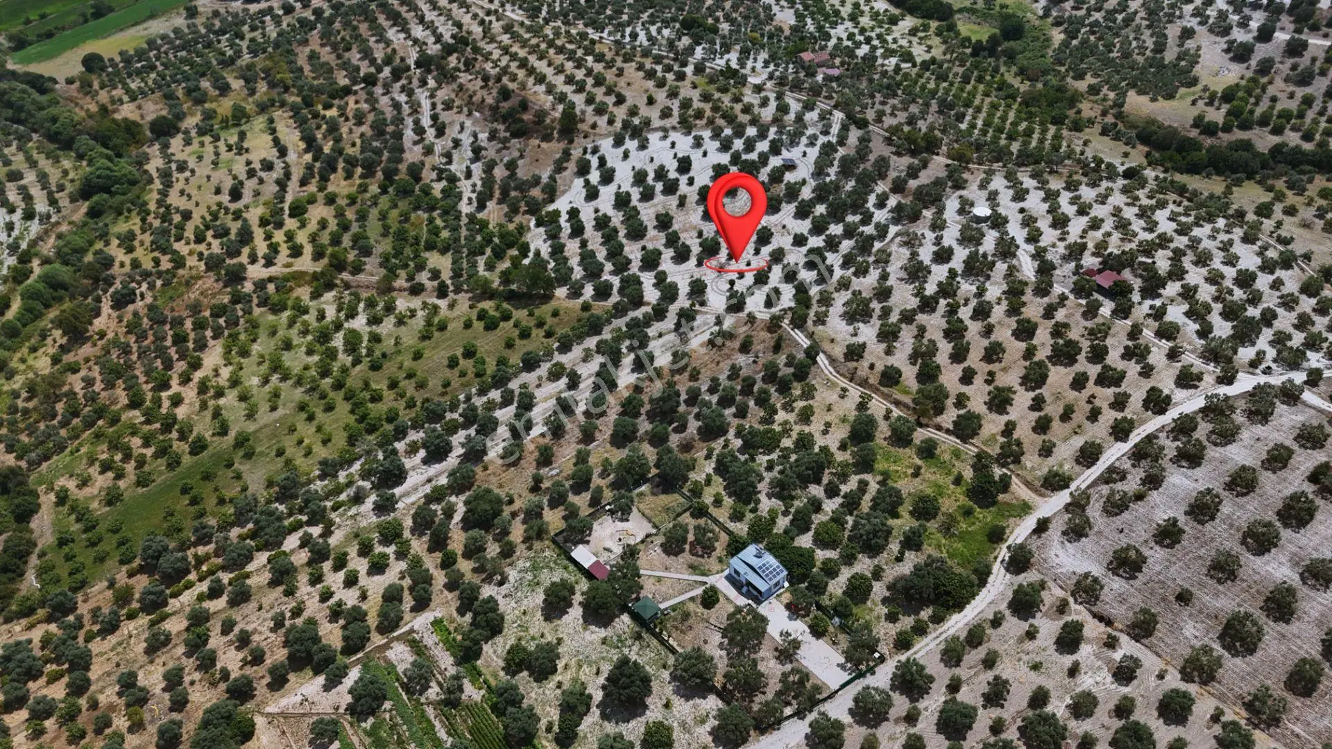 Bozdoğan Kılavuzlar'Da Satılık 11.363 M² Verimli Tarla