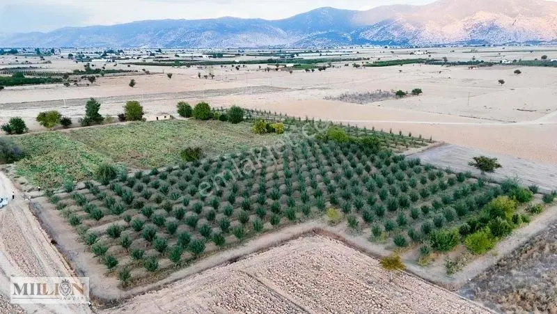 Korkuteli Küçükköyde 6.352 M² Yatırımlık Fırsat Tarla Satılık!!