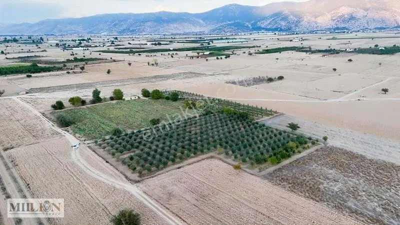 Korkuteli Küçükköyde 6.352 M² Yatırımlık Fırsat Tarla Satılık!! — fotoğraf 2
