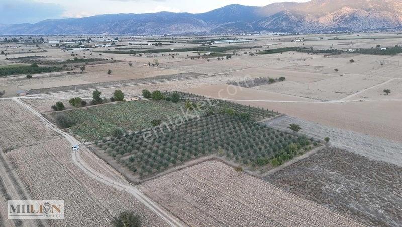 Korkuteli Küçükköyde 6.352 M² Yatırımlık Fırsat Tarla Satılık!! — fotoğraf 3