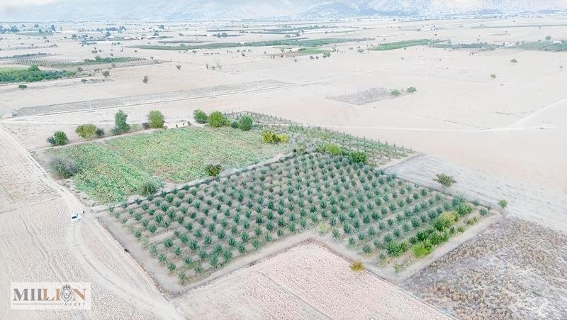 Korkuteli Küçükköyde 6.352 M² Yatırımlık Fırsat Tarla Satılık!! — fotoğraf 4