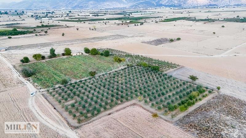Korkuteli Küçükköyde 6.352 M² Yatırımlık Fırsat Tarla Satılık!! — fotoğraf 5