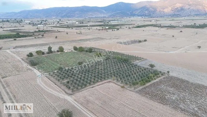 Korkuteli Küçükköyde 6.352 M² Yatırımlık Fırsat Tarla Satılık!! — fotoğraf 6