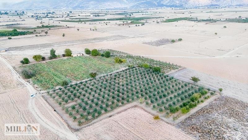 Korkuteli Küçükköyde 6.352 M² Yatırımlık Fırsat Tarla Satılık!! — fotoğraf 7