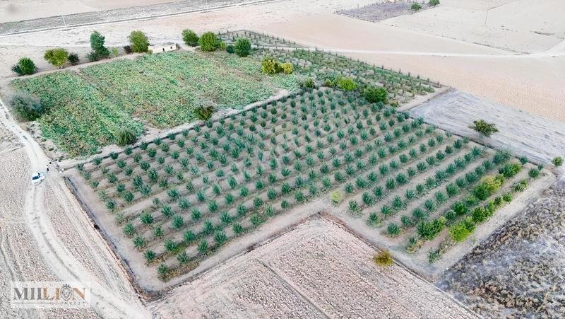 Korkuteli Küçükköyde 6.352 M² Yatırımlık Fırsat Tarla Satılık!! — fotoğraf 8