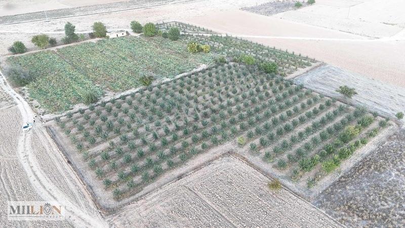 Korkuteli Küçükköyde 6.352 M² Yatırımlık Fırsat Tarla Satılık!! — fotoğraf 9
