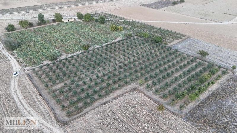 Korkuteli Küçükköyde 6.352 M² Yatırımlık Fırsat Tarla Satılık!! — fotoğraf 10