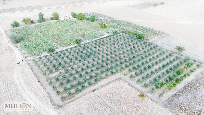 Korkuteli Küçükköyde 6.352 M² Yatırımlık Fırsat Tarla Satılık!! — fotoğraf 12