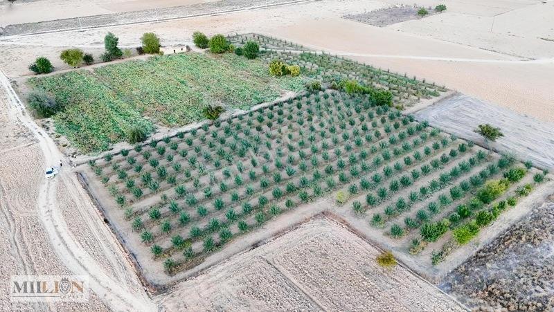 Korkuteli Küçükköyde 6.352 M² Yatırımlık Fırsat Tarla Satılık!! — fotoğraf 13