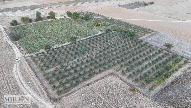 Korkuteli Küçükköyde 6.352 M² Yatırımlık Fırsat Tarla Satılık!! — fotoğraf 14