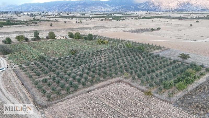 Korkuteli Küçükköyde 6.352 M² Yatırımlık Fırsat Tarla Satılık!! — fotoğraf 16