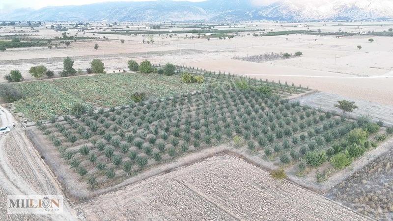 Korkuteli Küçükköyde 6.352 M² Yatırımlık Fırsat Tarla Satılık!! — fotoğraf 18