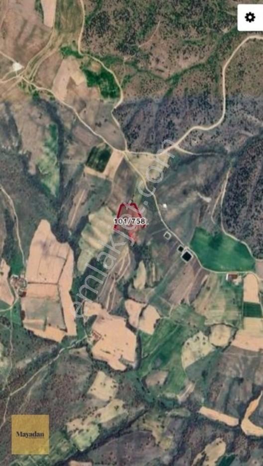 Mayadan Karahamza 19.601M2 Satılık Arazi