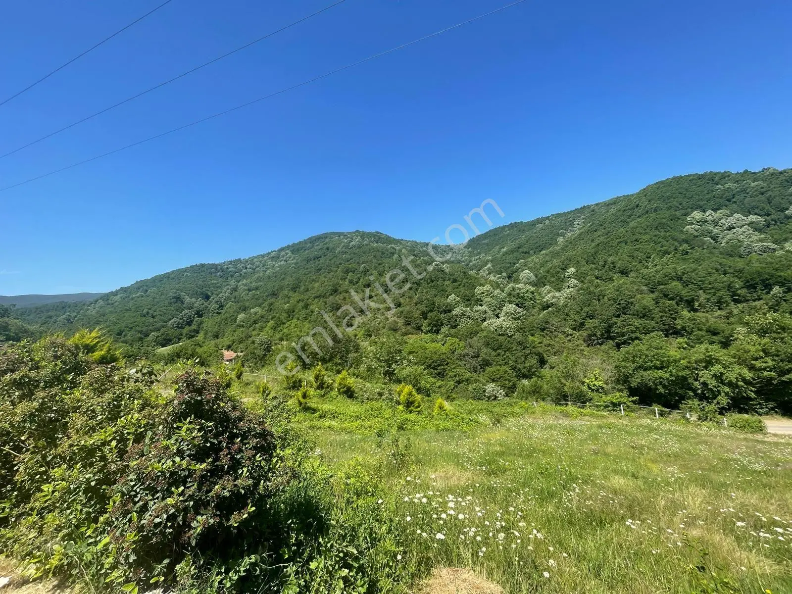 Yalova Çiftlikköy Burhaniye'de — fotoğraf 3