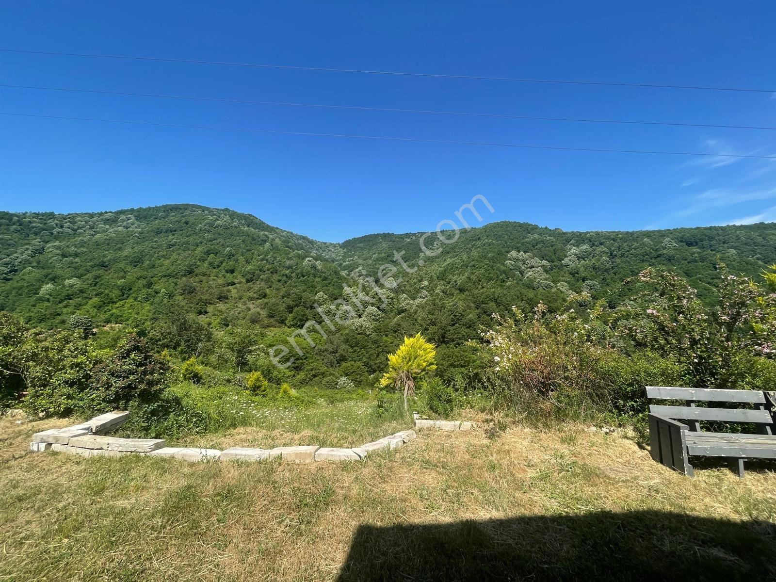Yalova Çiftlikköy Burhaniye'de — fotoğraf 8