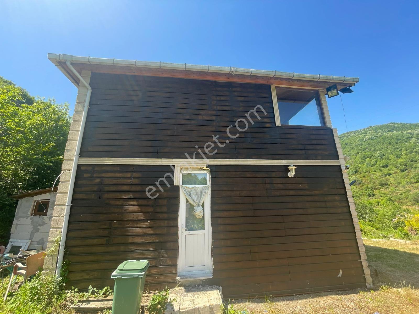Yalova Çiftlikköy Burhaniye'de — fotoğraf 11
