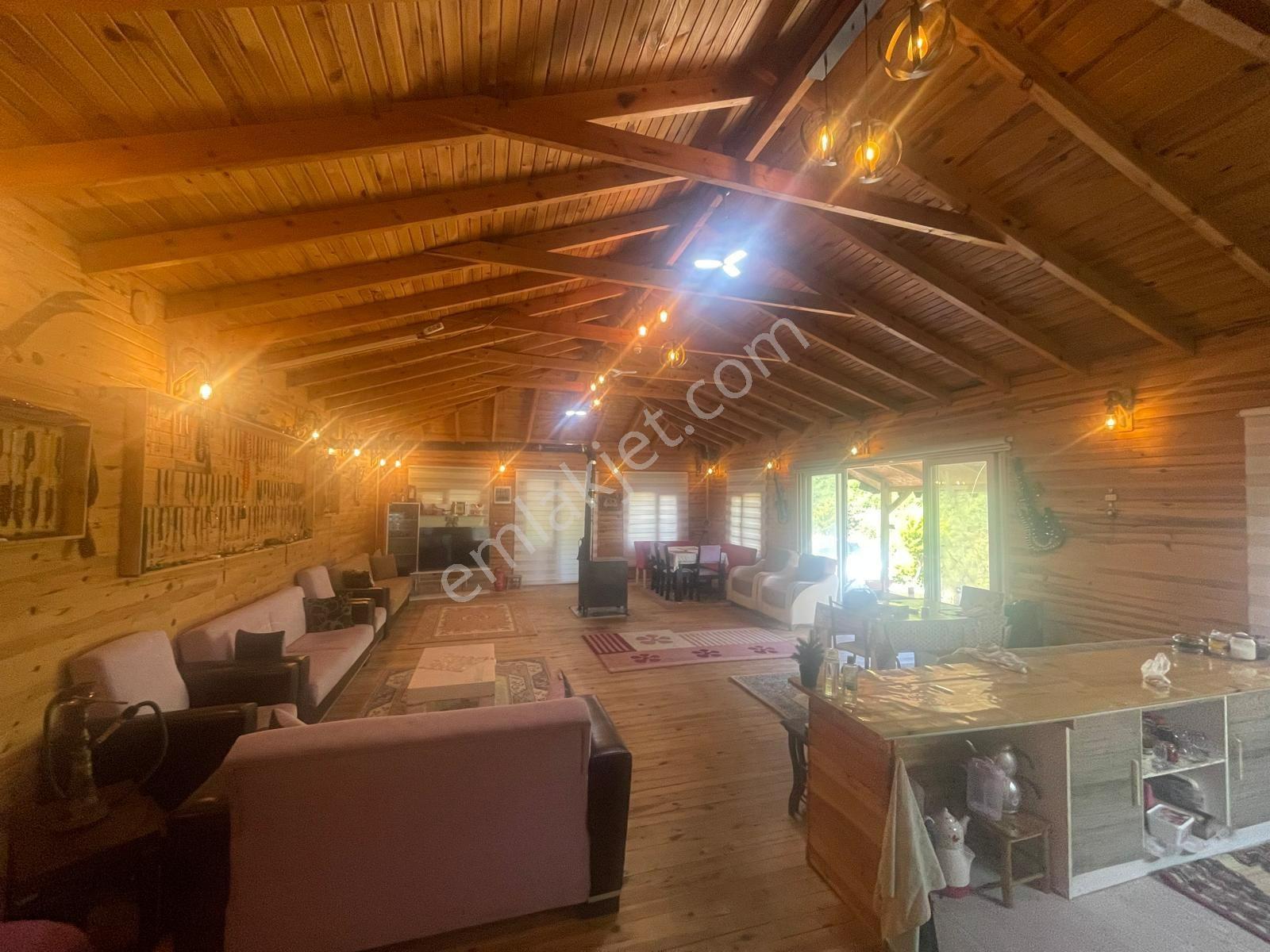Yalova Çiftlikköy Burhaniye'de — fotoğraf 26