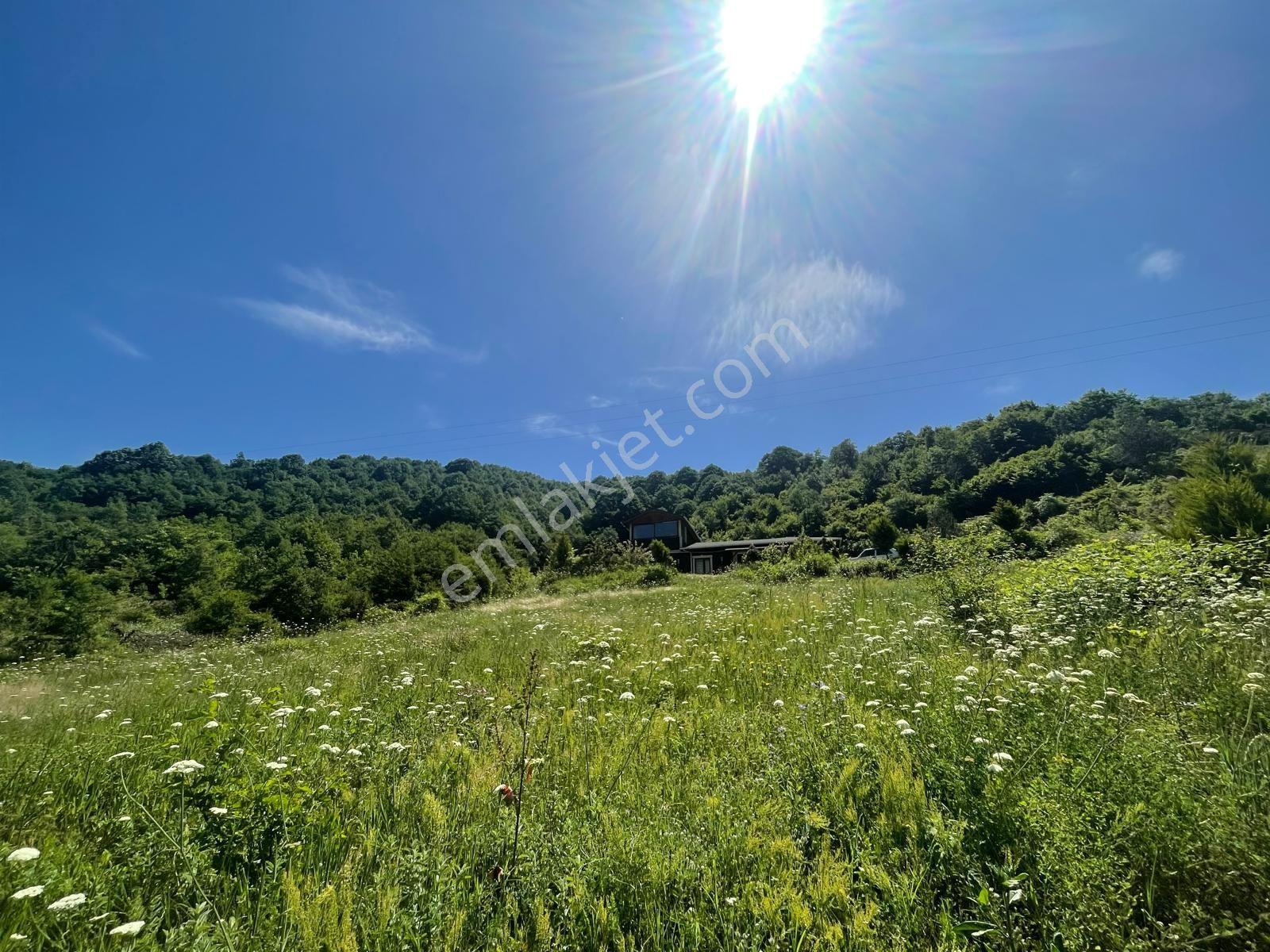 Yalova Çiftlikköy Burhaniye'de — fotoğraf 30