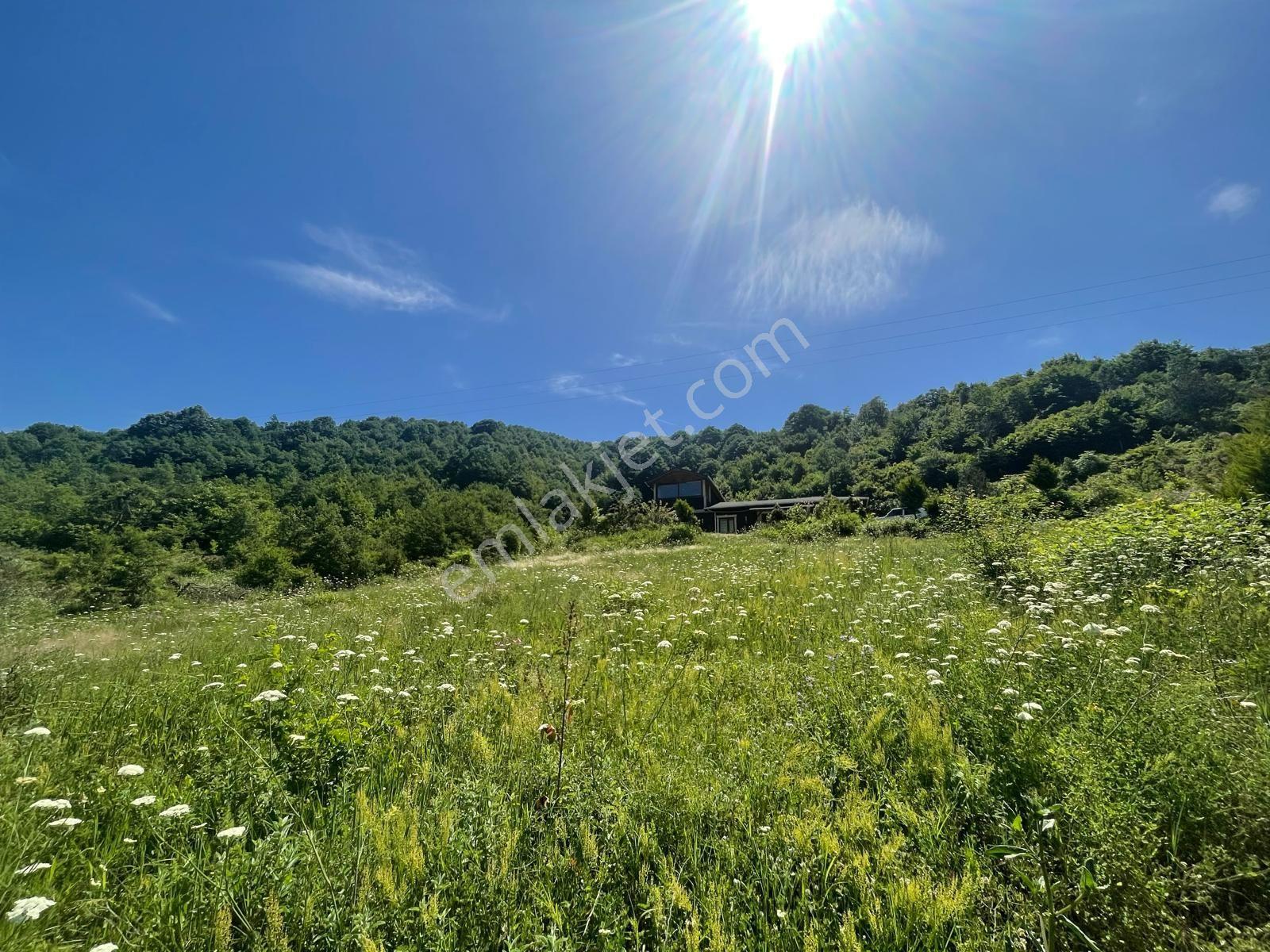 Yalova Çiftlikköy Burhaniye'de — fotoğraf 31